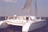 60cat_2.gif (73163 bytes)