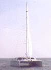 60cat_3.gif (42209 bytes)